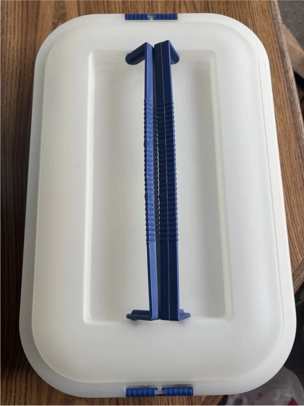 Mainstays White Cake Carrier with Blue Accent Handle
